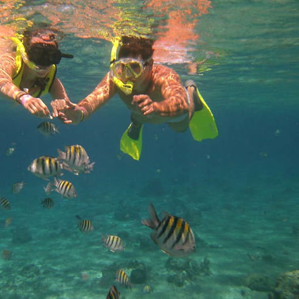 Snorkel en Isla Mujeres